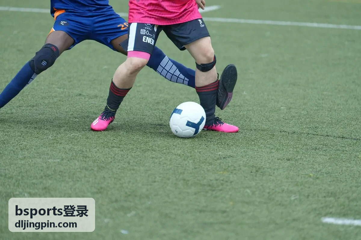 平板端 bsports登录页面适配效果示意