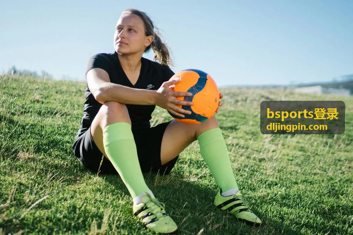 电脑端 bsports登录问题的处理流程示意画面